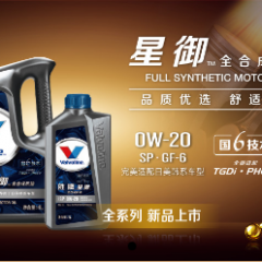 星御全合成机油  0W-20